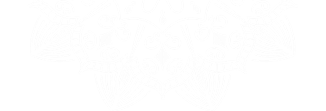 Tidamode desktop icon